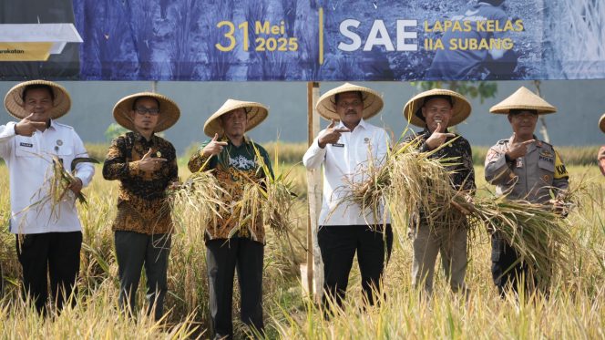 
					Dirjenpas Mashudi : Ini Bukan Hanya tentang Panen, Ini Tentang Semangat Warga BInaan