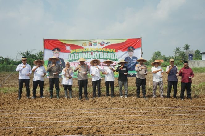 
					Tanam Jagung Serentak, Polresta Tangerang Komitmen Dukung Swasembada Pangan*