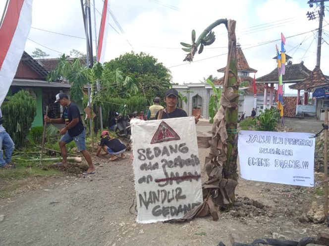 
					Geram Bertahun-tahun Jalan Rusak,Warga Tanggunggunung Tanam Pohon Pisang di Sepanjang Jalan Raya