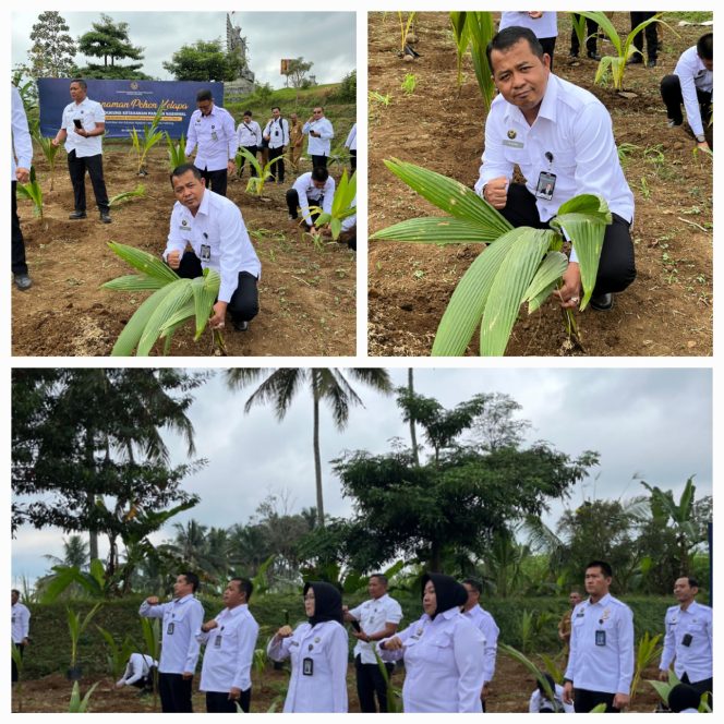 
					Dukung Program Ketahanan Pangan, Kalapas Banyuwangi Ikuti Penanaman Bibit Pohon Kelapa Serentak di SAE Ngajum