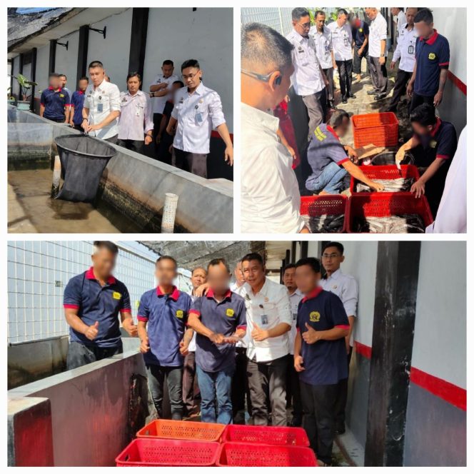 
					Panen Seribu Ekor Lele, Lapas Jember Wujudkan Implementasi 13 Akselerasi Menteri