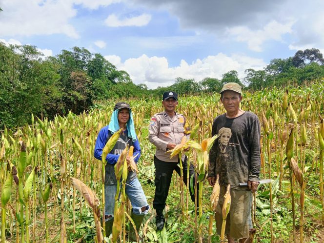 
					Polsek Panongan Galakkan Ketahanan Pangan Bersama Warga Desa Ranca Iyuh