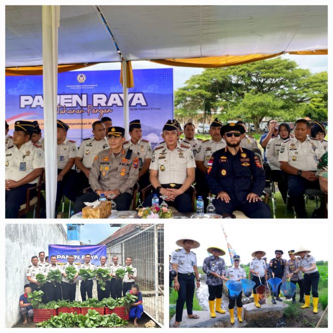 
					Wujudkan Ketahanan Pangan, Lapas Jember Ikuti Gelaran Panen Raya Serentak