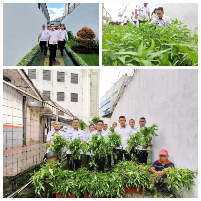 
					Lapas Jember Manfaatkan Ramadhan, Panen Kangkung untuk Ketahanan Pangan